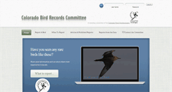 Desktop Screenshot of cobrc.org